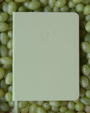 2025 Personal Planner in Matcha (Green)